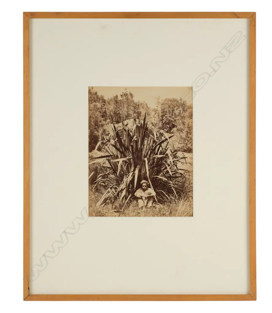 Daniel Louis Mundy (1827-81) - Study of a flax bush with native boy on the Wairere River, Image 1++